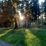 Laura Wehr - @wehr_laura - Instagram
