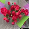BeautyAsAlways - @laurawei99 - TikTok