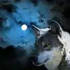 Laura Weidmann - @lauraweidmann41 - TikTok