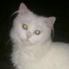 Laura Werber - @laura.werber8 - TikTok