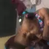 laurawesley655 - @laurawesley655 - TikTok