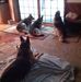 Laura Whetstone - Facebook