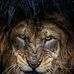 Ewoton Lerai - Facebook
