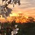 Laura Wiegert - Facebook