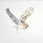 L a u r a   W i l k i n s - @laurawilkins.art - Instagram