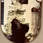 Laura Wilkin - @laura.wilkin.11 - Instagram