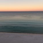 Laura Wingard - @confederateroses - Instagram