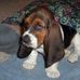 Laura Wingert - Facebook