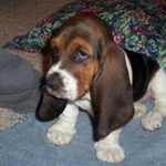Laura Wingert - @laurarn33 - Instagram