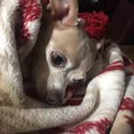 Laurie Waetzig Wininger - @lauriewaetzig - Instagram