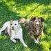 Laura Wink-Gill - Facebook