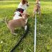 Laura Winker - Facebook