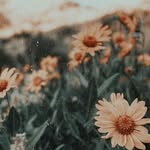 Staypositive - @laura._wisdom - Instagram