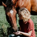 Wisdom Within | Groei in verbinding met paarden - @laura_wisdomwithin.nl - Instagram