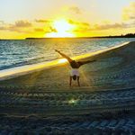 Laura Withers - @anexspypholb569 - Instagram