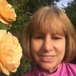 Laura Wold Rogers - @lwrogers423 - Instagram