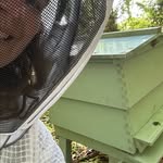 Laura Woolf - @shade_oak_honey - Instagram