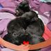 Laura Yardley - Facebook
