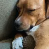 laura_zigler21 - @laura_zigler21 - TikTok