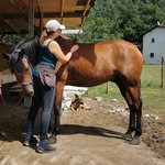 Laurine Zipfel Brunon - @laurinebrunonsf - Instagram