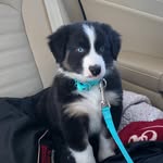 Laura Zook - @zook8489 - Instagram