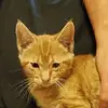 lauraleegreenfeld - @lauraleegreenfeld - TikTok