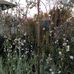 Laurance Lee - Facebook