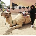 Leduc Anne-Laure - @leducannelaure - Instagram