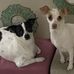 Laureen Sanchez - Facebook
