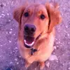 laurelballard288 - @laurelballard288 - TikTok