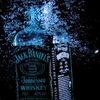 Laurel Barbera - @laurelbarbera7332 - TikTok