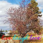 Laurel Bates - @laurel.bates.31 - Instagram