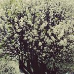 Laurel Bates - @insta_laurel - Instagram
