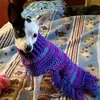 Laurel L. Bowman - @laurel.l..bowman - TikTok