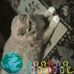 Laurel Campbell - Facebook
