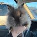 Laurel Christian - Facebook