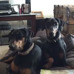 Laurel Cobb - @laurellee47 - Instagram