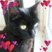 Laurel Dawson - Facebook