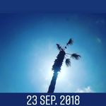 Laurel Diaz Miranda - @laureldiazmiranda - Instagram