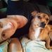 Laurel Dickinson - Facebook