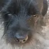 Bruno - @ebertlaurelquispe - TikTok