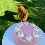 laurel gates - @_laurelbakes - Instagram