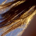 Laurel Gilbert - @laurelg99 - Instagram