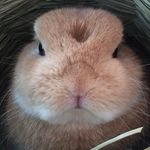 Gordon Laurel - @gordonlaurel4 - Instagram