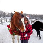 Laurel Gordon - @emeraldequinewellness - Instagram