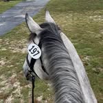 Laurel Hallman - @lmh.equestrian_ - Instagram