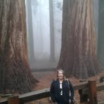 Laurel Hallman - Facebook