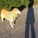 Laurel Herman - Facebook