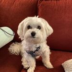 Laurel Herman - @its.more.than.just.food_ - Instagram