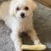 Laurel Herman - Facebook